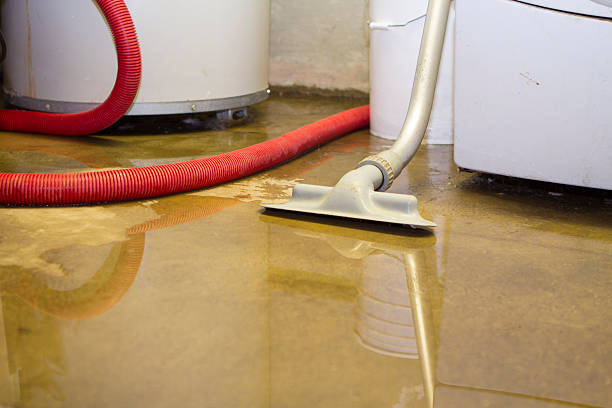 Best Sewage cleanup and water damage restoration  in Peralta, NM