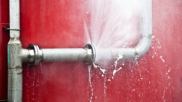 Best Water damage contractors near me  in Peralta, NM