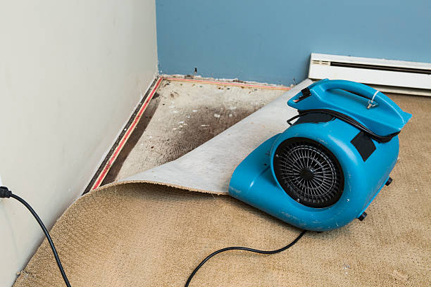 Best Carpet water damage restoration  in Peralta, NM